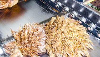 <a href='/Palm-Oil-Industry-id47472036.html'><span style='color:#000000;'>Industria del aceite de palma</span></a>
